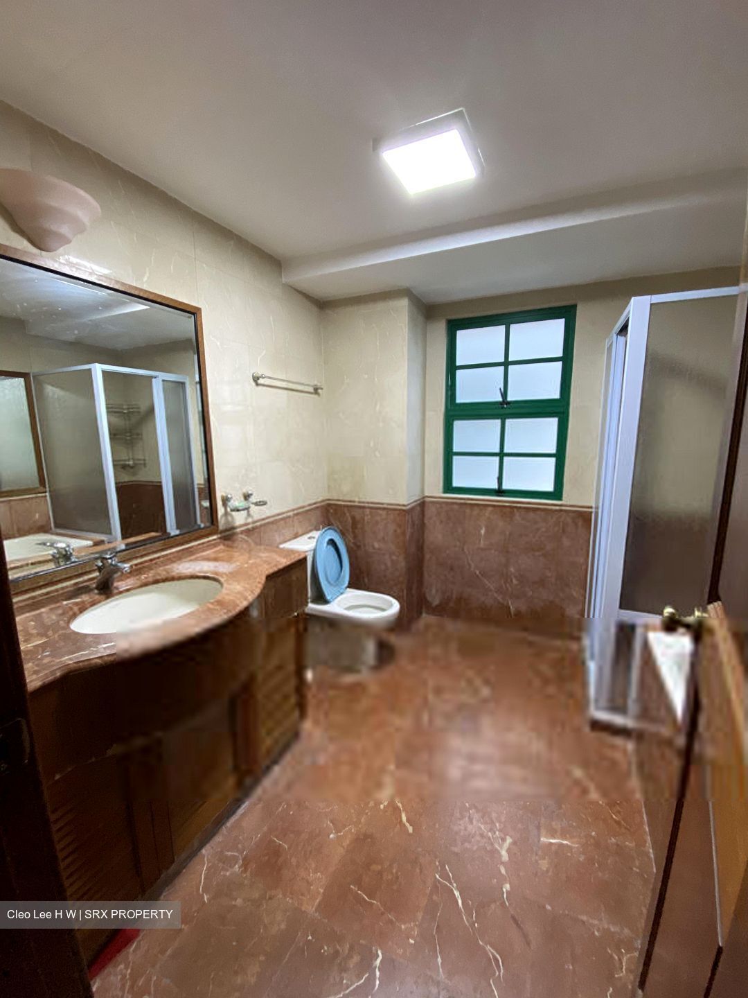 Toh Tuck Hill (D21), Semi-Detached #417242051